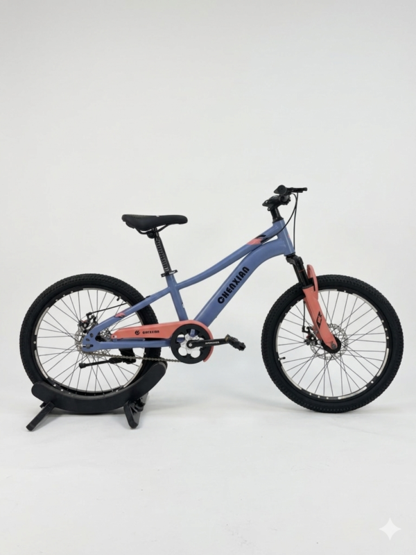22 Inch CHENXIAN bicycle