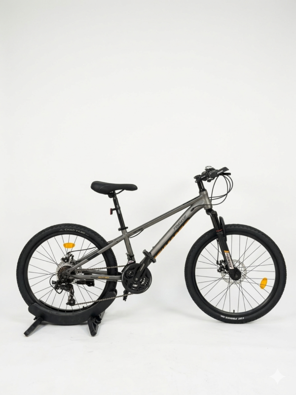 24 Inch Timmse bicycle