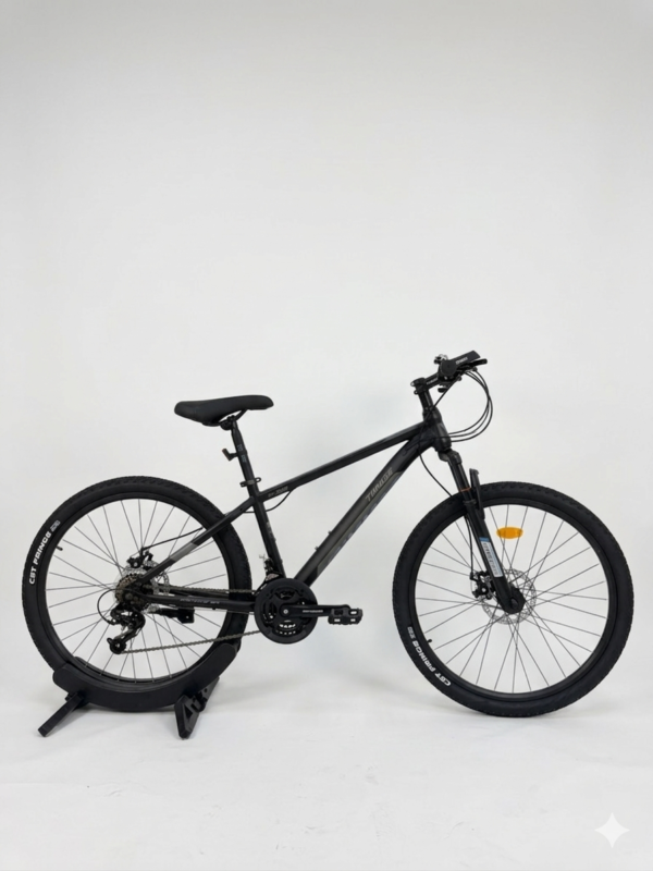 26 Inch TIMMSE Bicycle