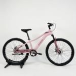 26 Inch Chenxian Bicycle