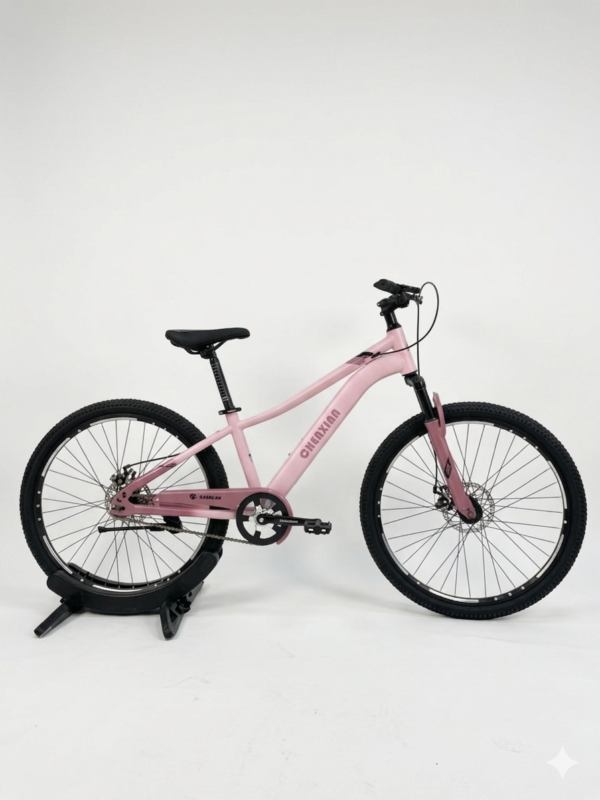 26 Inch Chenxian Bicycle