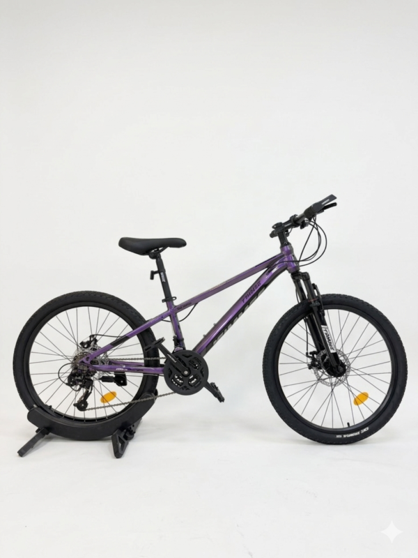 20 Inch Mountain Bike