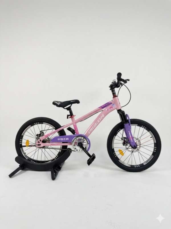 20 inch pigeon bicycle