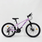 24 Inch Timmse Mountain Bike