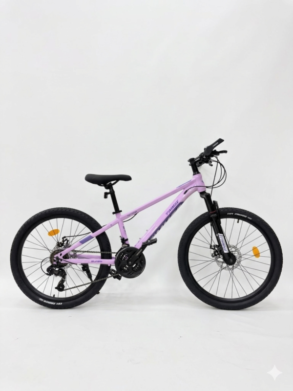 24 Inch Timmse Mountain Bike