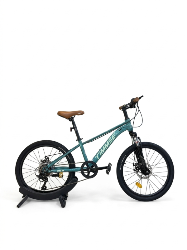22 Inch TIMMSE bicycle