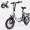 WINDHORSE W2B Electric Bike