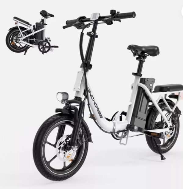 WINDHORSE W2B Electric Bike