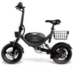 WindHorse W3 Folding Electric Bike