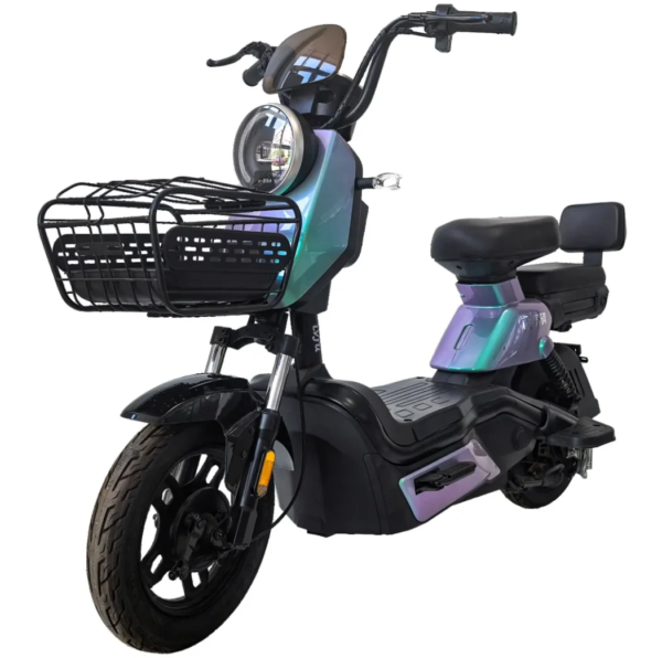 Windhorse M6 Family Electric Bike – 500W Motor, 48V 20Ah, Up to 50 km Range