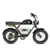 Windhorse D5 Electric Bike 48V 21Ah 1000W Fat Tyre 70Km Range