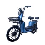 Windhorse M3 Electric Bike 36V 350W