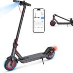 Windhorse T1 Electric Scooter 36V 8Ah 350W