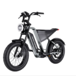 WindHorse D3 Fat Tyre All Terrain Electric Bike 48V 18Ah 1000W