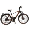 Kugoo M101 Electric Bike