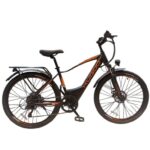 Kugoo M101 Electric Bike