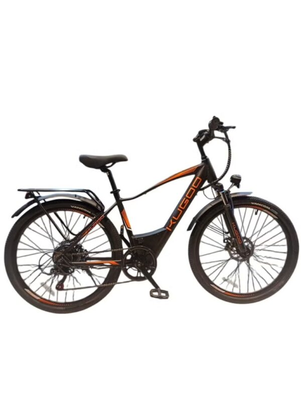 Kugoo M101 Electric Bike