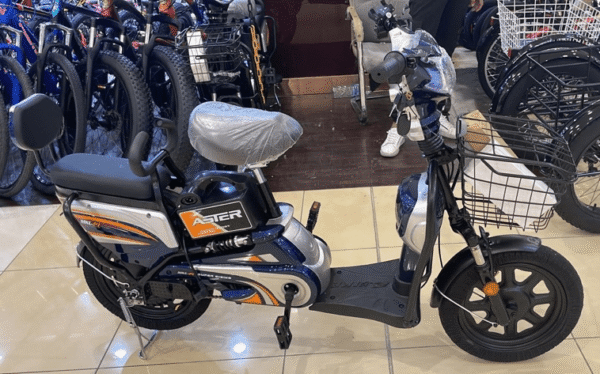 Aster E-Bike 14 inch