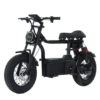 Kugoo T1