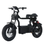 Kugoo T1