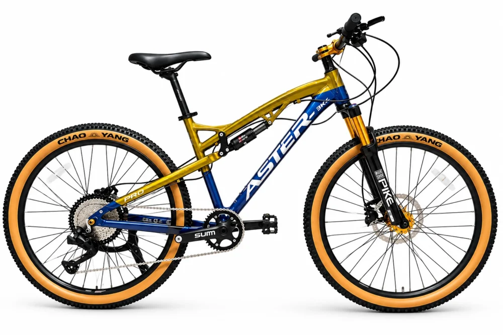 ASTER 29 inch 27-speed full-suspension mountain bike