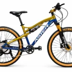 ASTER 29 inch 27-speed full-suspension mountain bike