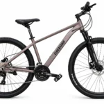 CHENXIAN 29 inch 27-speed hybrid fitness bike gunmetal grey