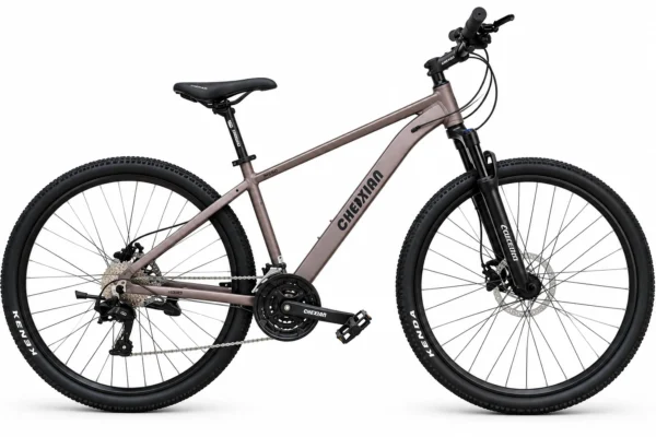 CHENXIAN 29 inch 27-speed hybrid fitness bike gunmetal grey